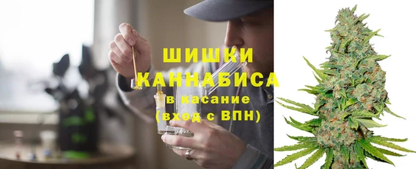 гидра Белокуриха