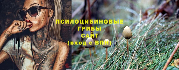 дживик Белоозёрский