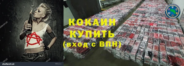 гидра Белокуриха