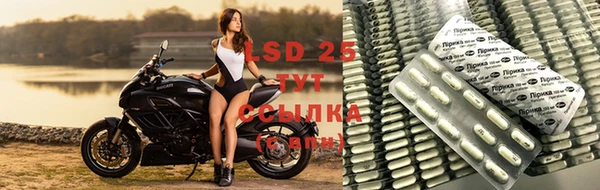 мяу мяу мука Дмитров